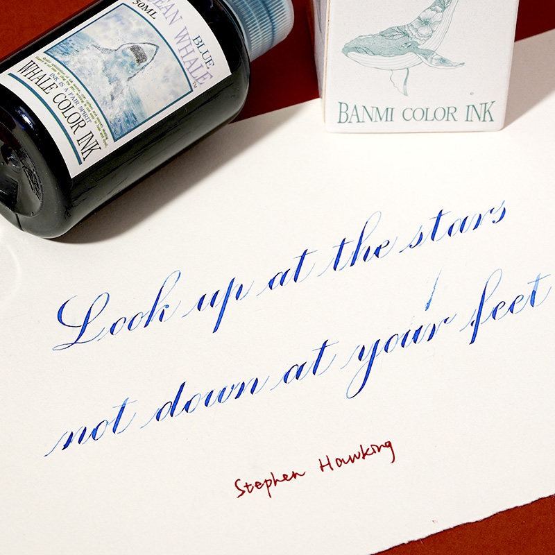 Tinta para Pluma Estilográfica - Fountain Pen Bottled Ink reseña y precio